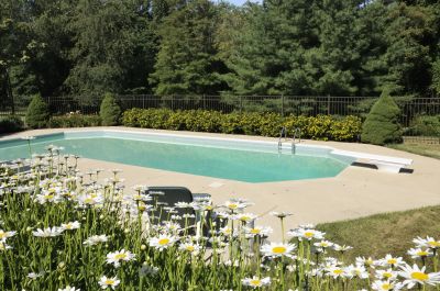 Pool Design Options